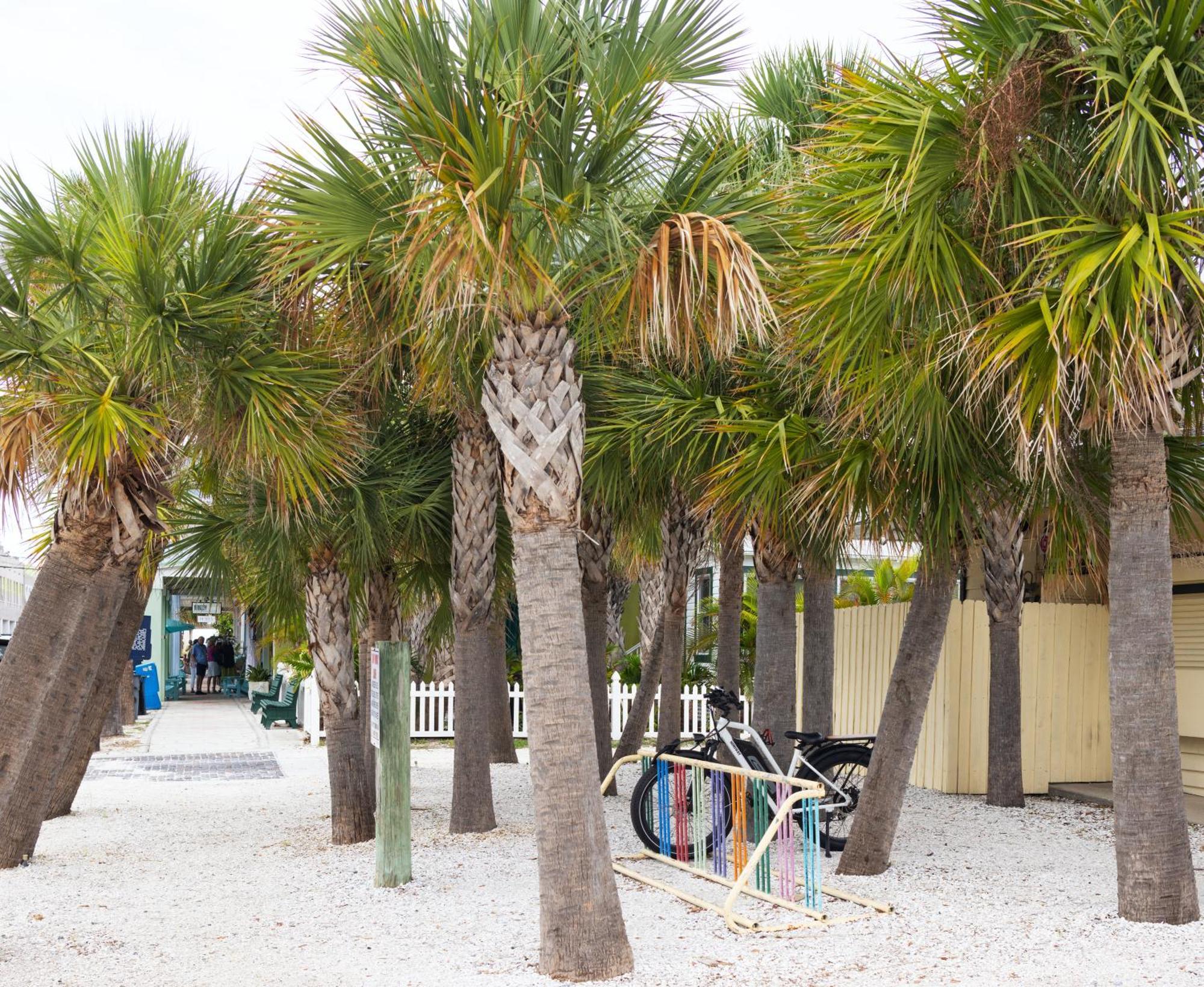 The Hotel Zamora St. Pete Beach Luaran gambar