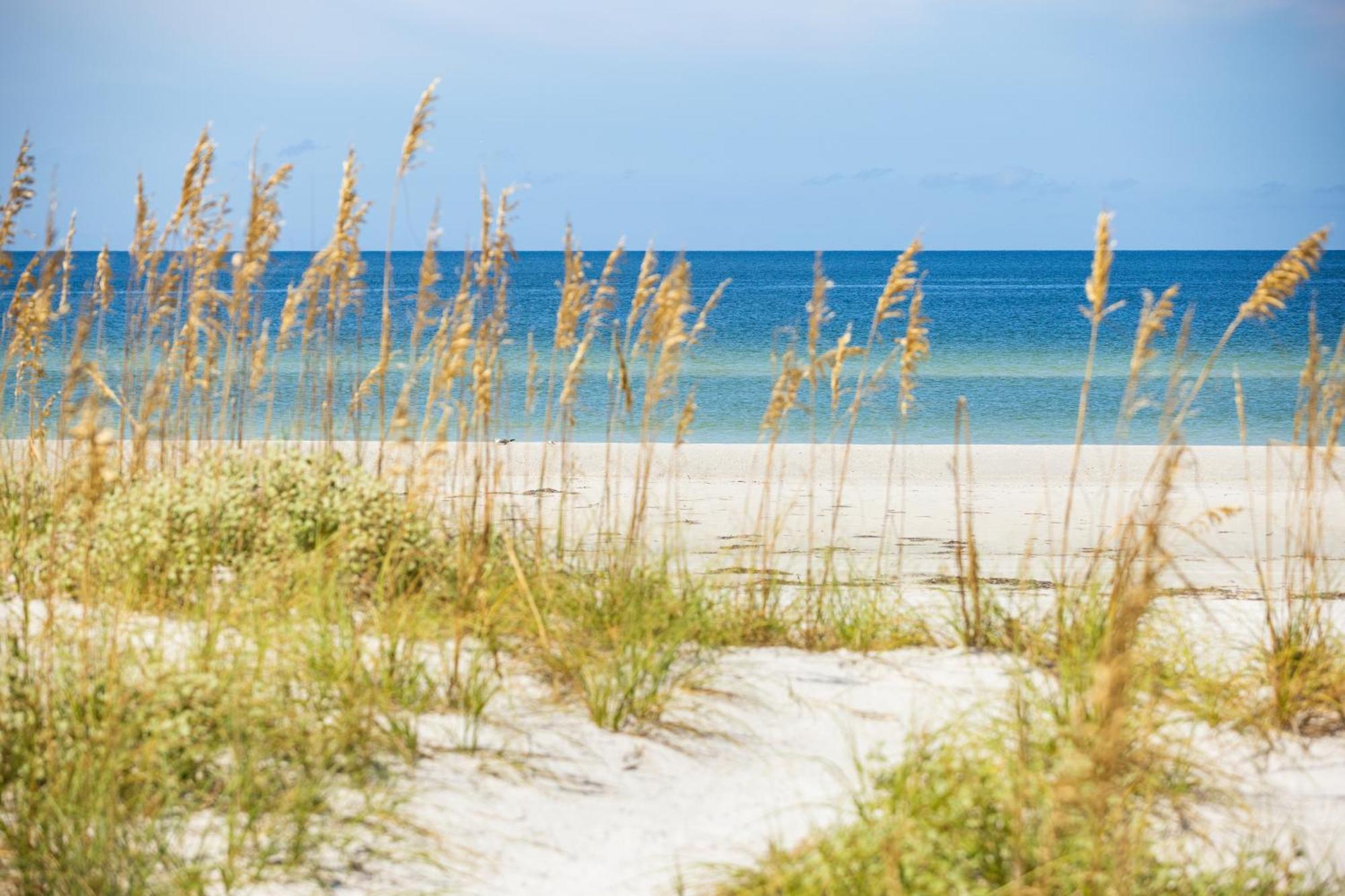The Hotel Zamora St. Pete Beach Luaran gambar